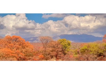 Lote a Pie de Montaña!!! con cabaña a terminar